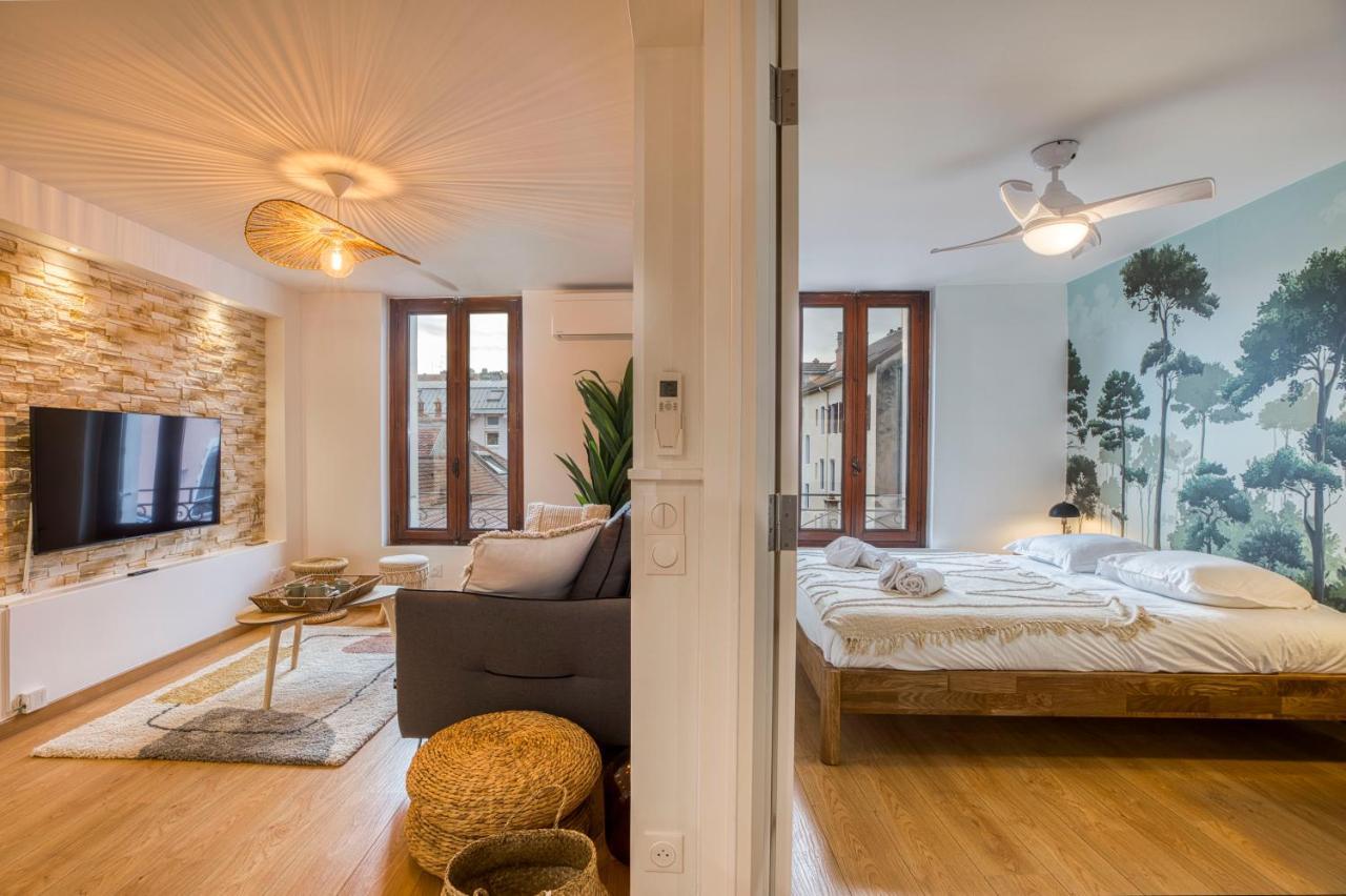 Le Carnot - Mycosyapart, Duplex Coeur De Ville Et Lac, Climatise Annecy Luaran gambar